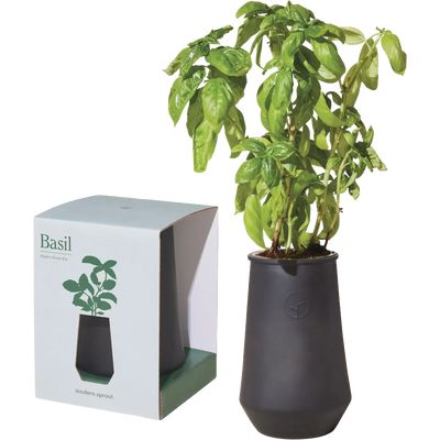 Modern Sprout Tapered Tumbler Grow Kit