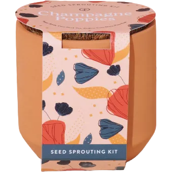 Modern Sprout® Tiny Terracotta Grow Kit Champagne Poppies