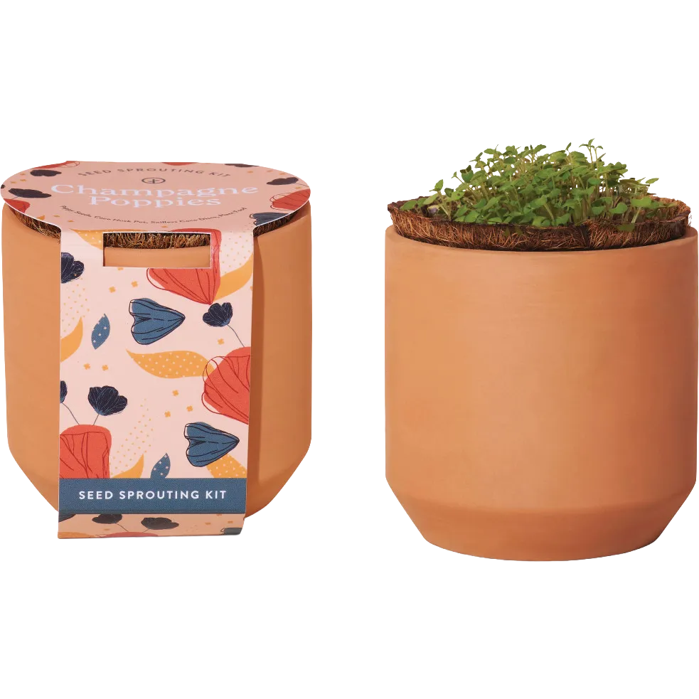 Modern Sprout® Tiny Terracotta Grow Kit Champagne Poppies
