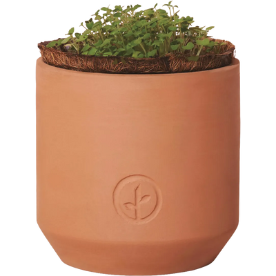 Modern Sprout® Tiny Terracotta Grow Kit Champagne Poppies