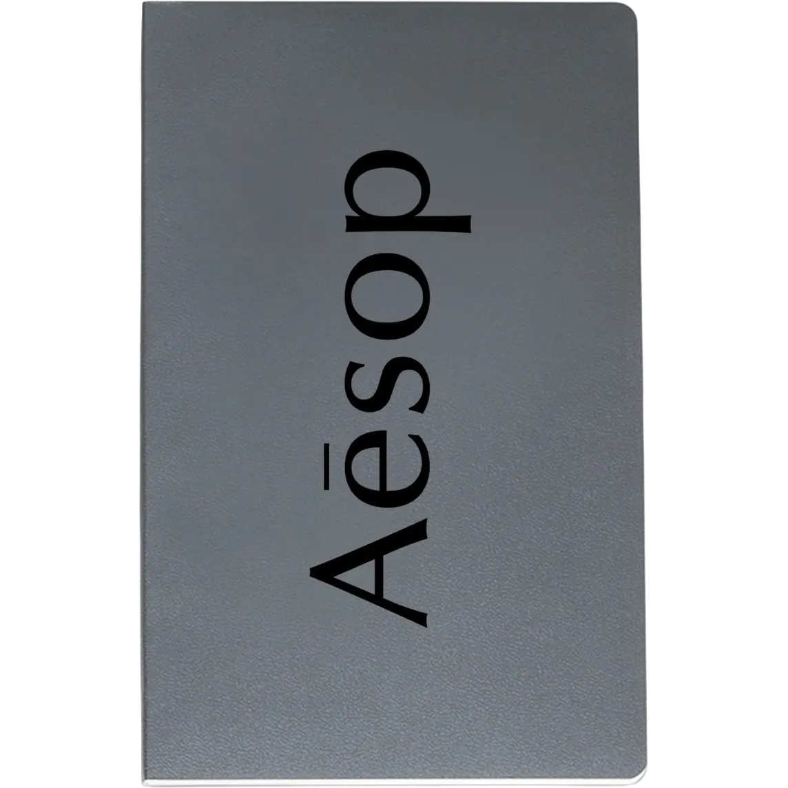 Moleskine Volant Ruled Large Notebook