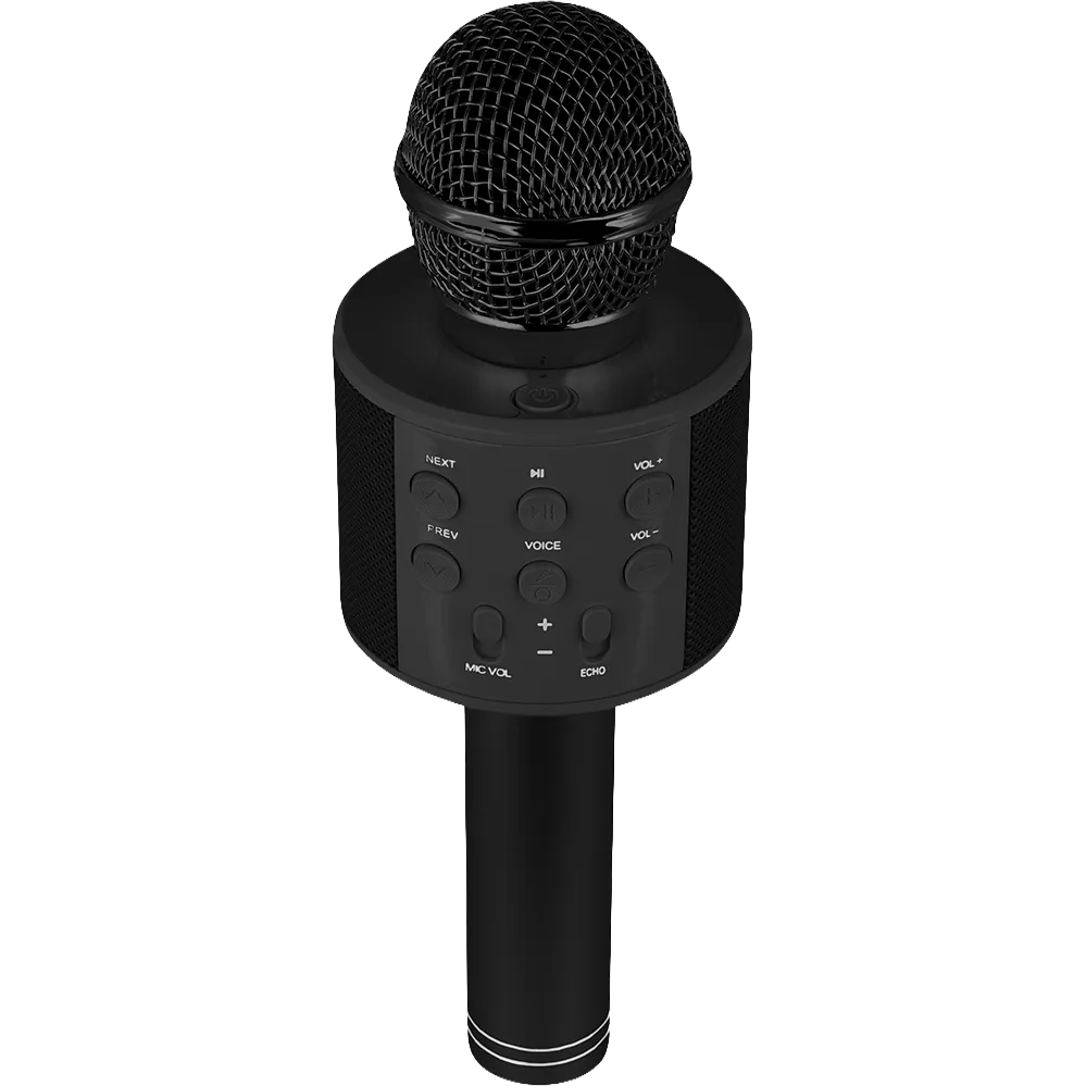 Perfect Pitch Karaoke Microphone