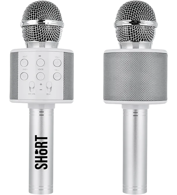 perfect-pitch-karaoke-microphone-silver.webp