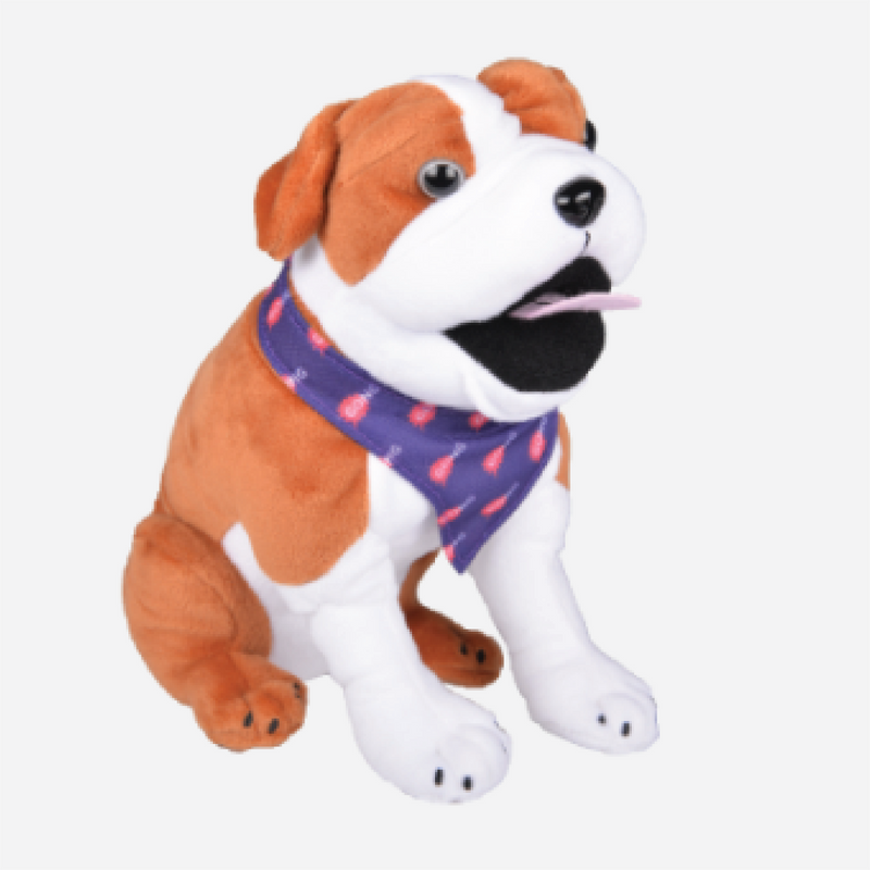 Custom Plushie