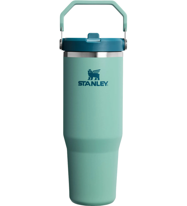 stanley-iceflow-20-flip-straw-tumbler-30oz-spring-green-front.webp