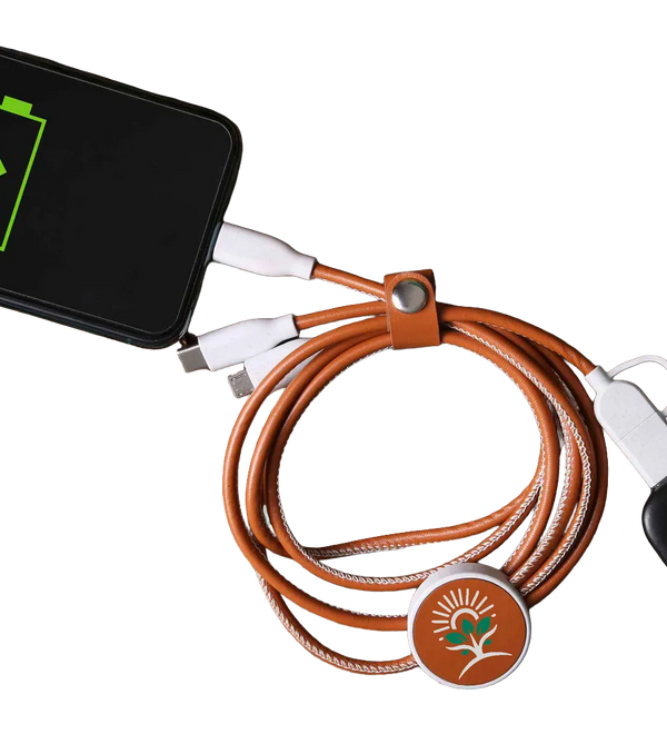 terratone-3-in-1-charging-cable.webp